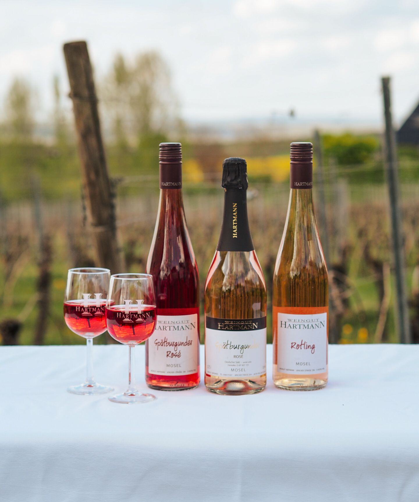 3er Rosé-Probierset im Geschenkkarton