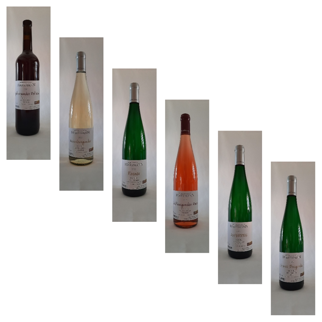 Probierpaket 2023